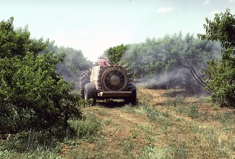 les insecticides et la disparition des haies et des fleurs sauvages