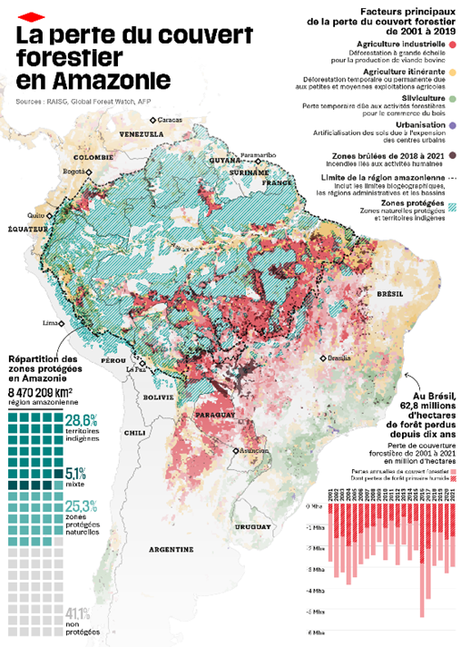 La perte du couvert forestier en amazonie