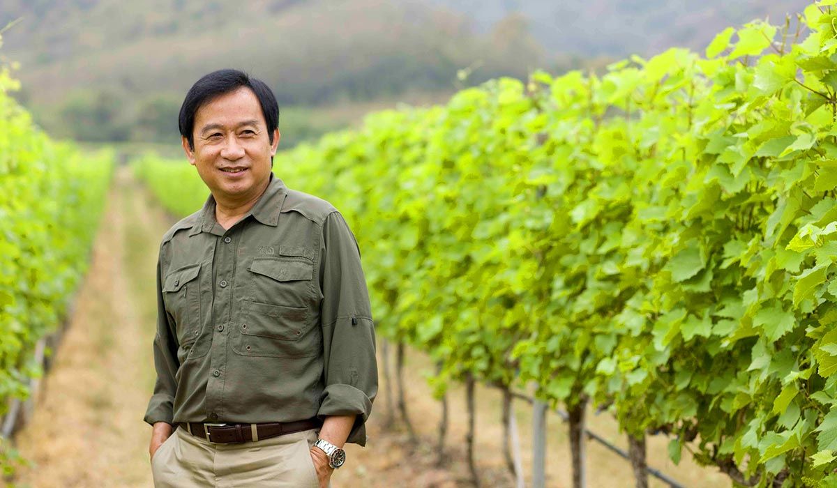 Le fondateur Chalerm Yoovidhya au milieu de ses vignes