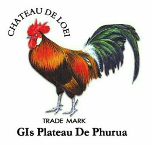 Logo chateau de Loei