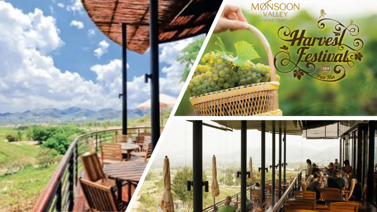 Monsoon Valley, une destination œnotouristique