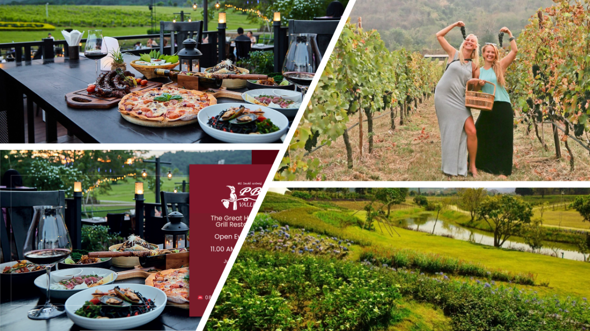 Œnotourisme et gastronomie au domaine PB Valley