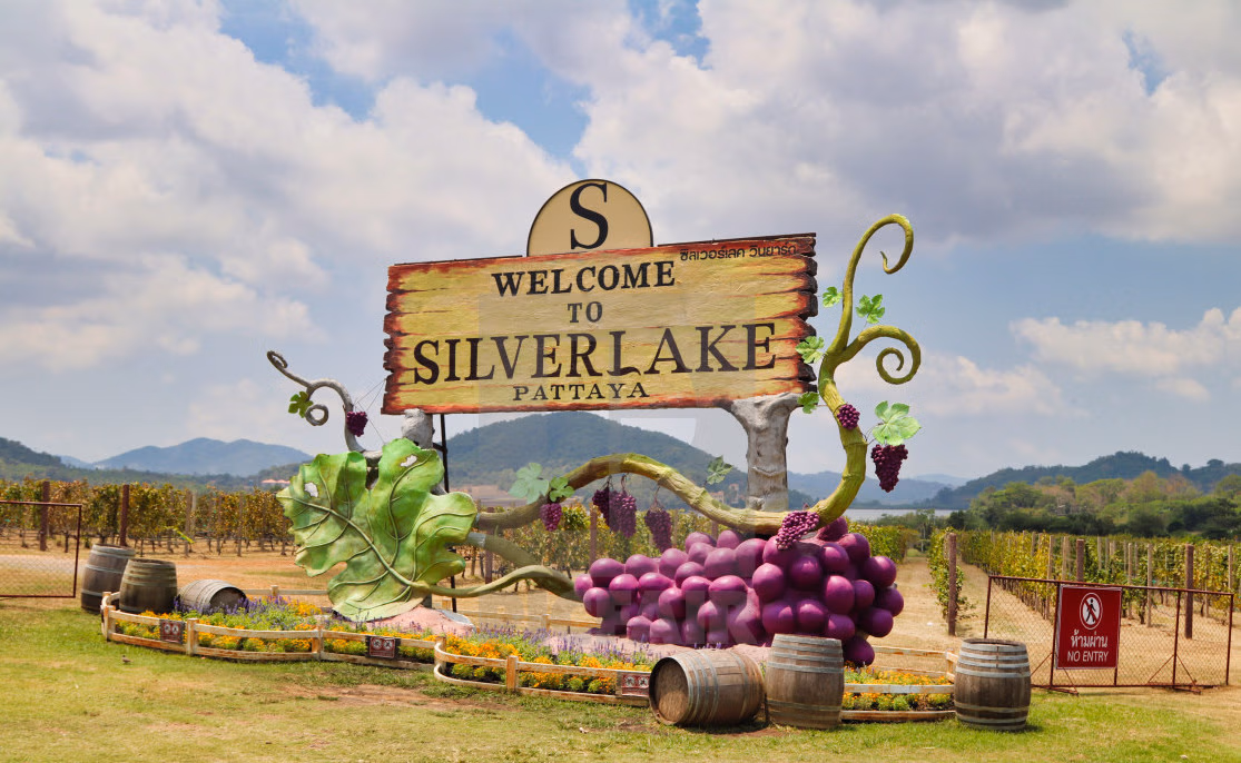 Silverlake Vineyard